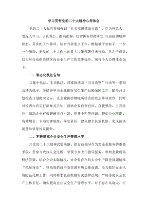 应急管理局防汛抗旱人员学习贯彻党的二十大精神心得体会三篇.docx