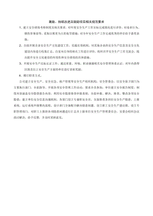 某公司激励、持续改进及鼓励项目相关规范要求.docx