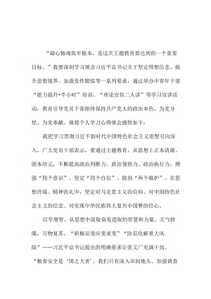副局长学习贯彻新时代中国特色社会主义思想主题教育心得感悟合辑三篇.docx