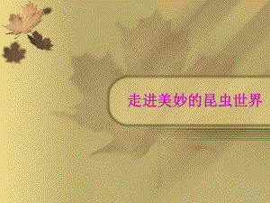 蜻蜓讲课课件.ppt