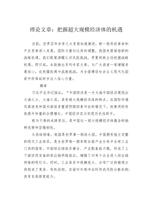 理论文章：把握超大规模经济体的机遇.docx