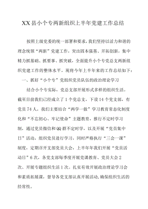 XX县小个专两新组织上半年党建工作总结.docx