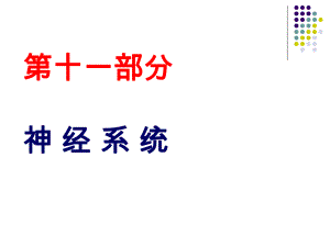 解剖生理学神经系统课件.ppt