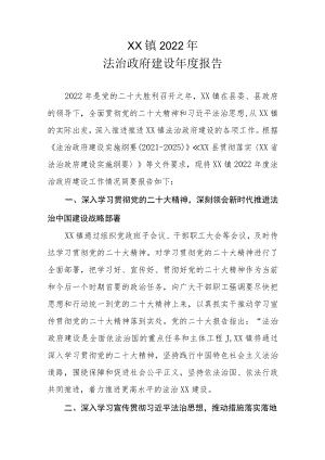 XX镇2022年法治政府建设年度报告.docx
