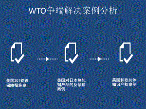 WTO争端解决案例分析.pptx