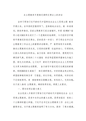 在主题教育开展情况调研反馈会上的讲话.docx