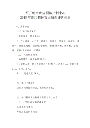绥芬河市疾病预防控制中心2018年部门整体支出绩效评价报告.docx