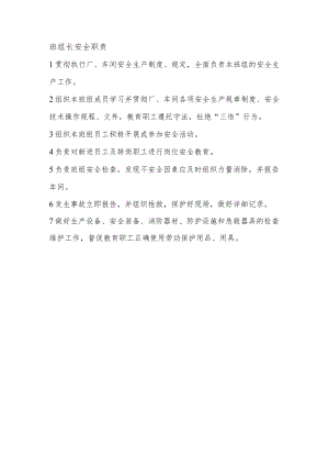 班组长安全职责.docx