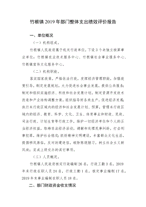 竹根镇2019年部门整体支出绩效评价报告.docx