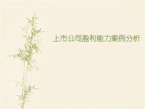 上市公司盈利能力.pptx