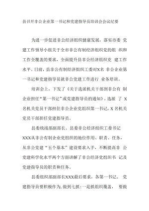 县召开非公企业第一书记和党建指导员培训会会议纪要.docx