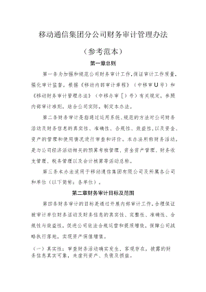 移动通信集团有限公司财务审计管理办法(范本).docx