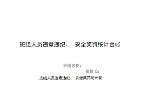 班组人员违章违纪、安全奖罚统计台帐.docx