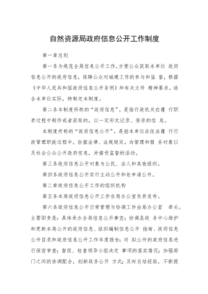 自然资源局政府信息公开工作制度.docx