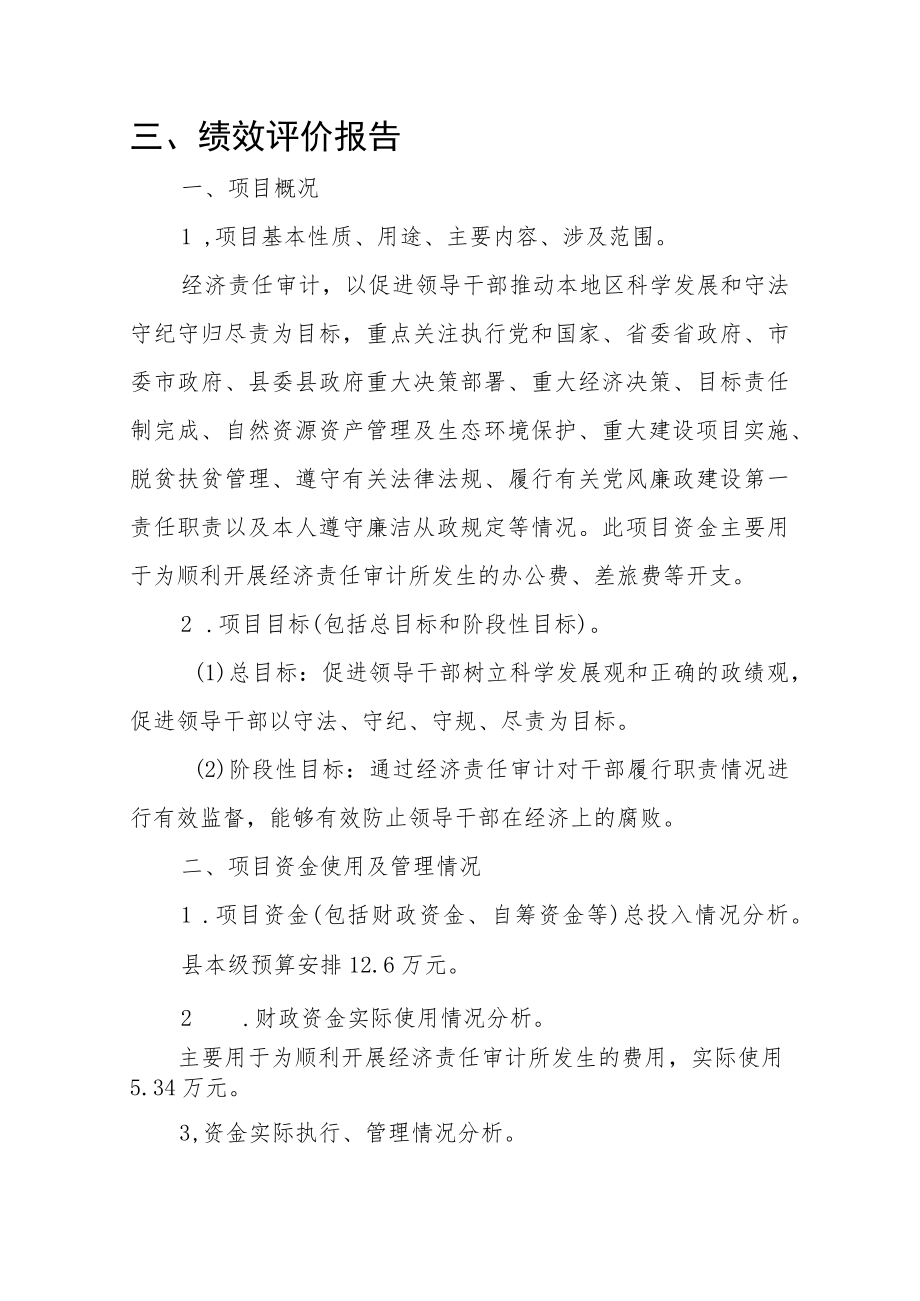 绩效评价报告.docx_第1页