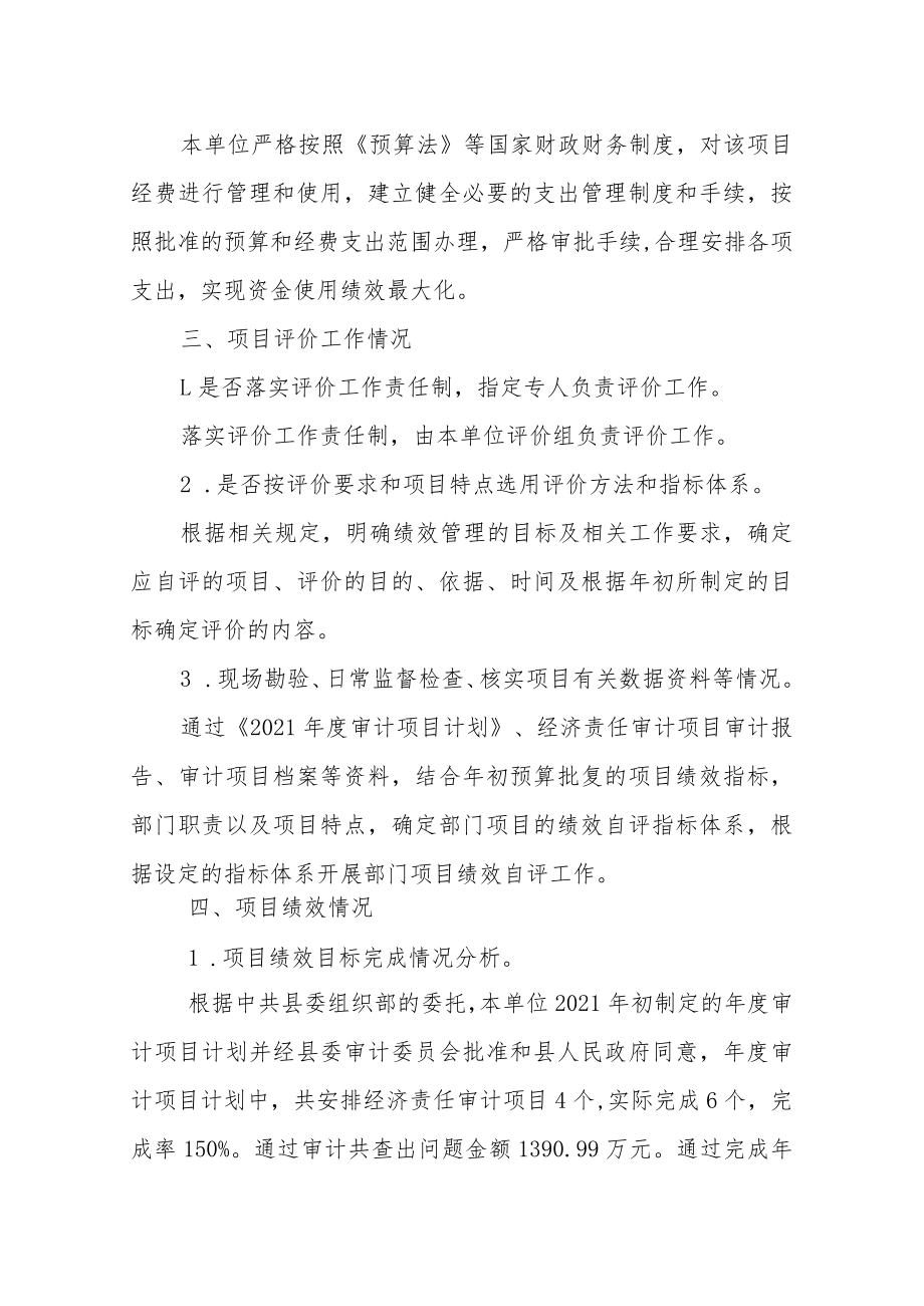绩效评价报告.docx_第2页