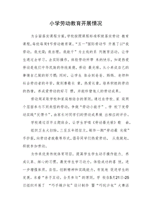 小学劳动教育开展情况.docx