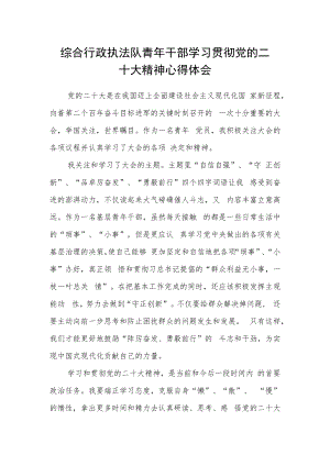 综合行政执法队青年干部学习贯彻党的二十大精神心得体会.docx