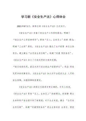 员工学习新《安全生产法》学习心得十篇.docx