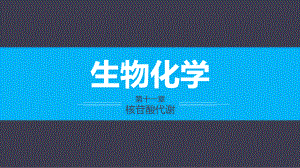 《生物化学》第十一章.pptx
