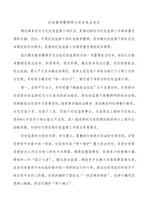 纪检教育整顿研讨发言体会发言.docx