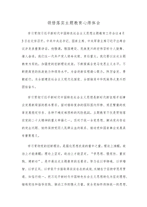 领悟落实主题教育心得体会.docx