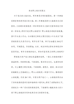 简述野山桃识别要点.docx
