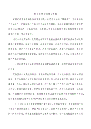 纪检监察专题辅导讲稿.docx