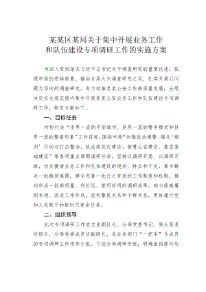 某某区某局关于集中开展业务工作和队伍建设专项调研工作的实施方案.docx