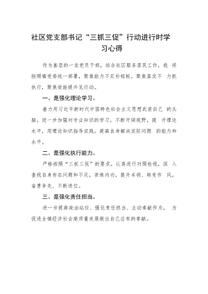 社区党支部书记“三抓三促”行动进行时学习心得.docx