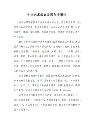 中学艺术教育发展年度报告.docx