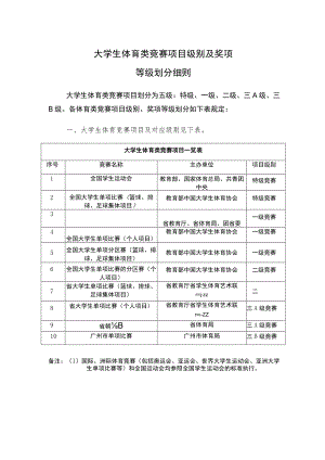 大学生体育类竞赛项目级别及奖项等级划分细则.docx