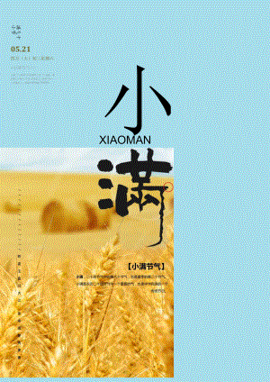 小满节气海报模板.docx