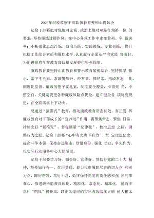 乡镇纪委2023年纪检监察干部队伍教育整顿个人心得体会 合计4份.docx