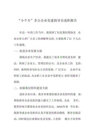 小个专非公企业党建指导员述职报告.docx