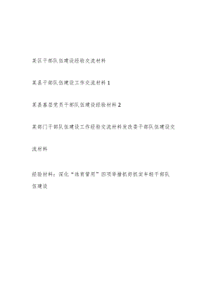 2023年干部队伍建设经验交流材料6篇.docx