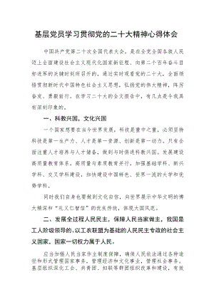 基层党员学习贯彻党的二十大精神心得体会.docx