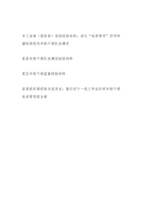 2023市工信局（国资委）党组某县区县委组织部年轻干部队伍建设监督经验材料4篇.docx