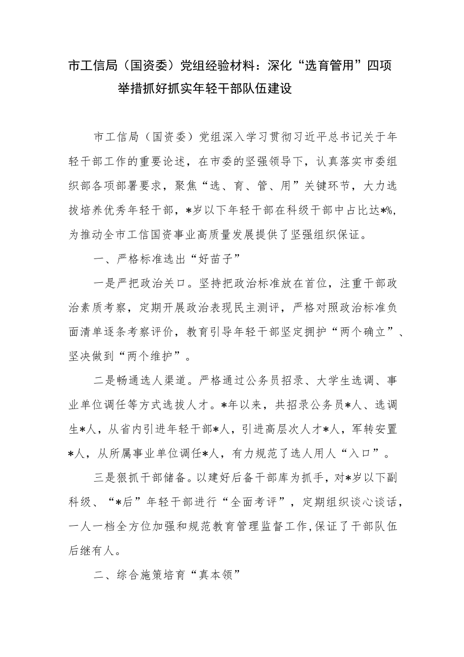 2023市工信局（国资委）党组某县区县委组织部年轻干部队伍建设监督经验材料4篇.docx_第2页