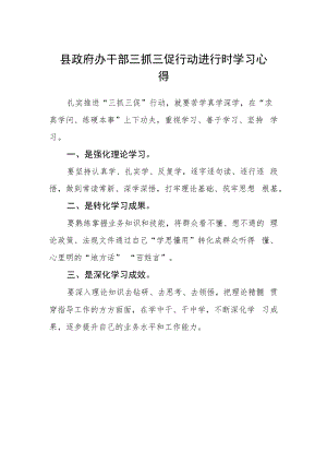 县政府办干部三抓三促行动进行时学习心得.docx