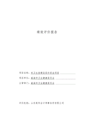 绩效评价报告.docx