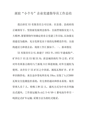 派驻小个专企业党建指导员工作总结.docx