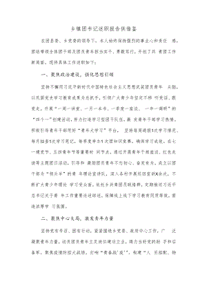 乡镇团书记述职报告供借鉴.docx