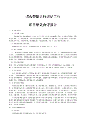 综合管廊运行维护工程项目绩效自评报告.docx