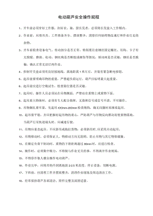 电动葫芦安全操作规程.docx