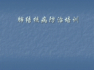 结核病培训课件.ppt