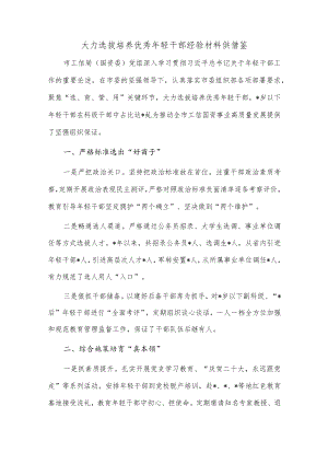 大力选拔培养优秀年轻干部经验材料供借鉴.docx