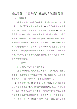 党建品牌：“五阳光”营造风清气正正能量.docx