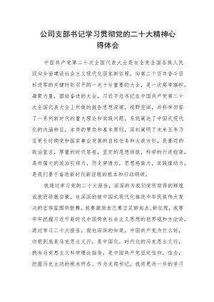 公司支部书记学习贯彻党的二十大精神心得体会.docx