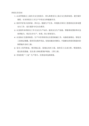 班组长安全领导安全责任制.docx